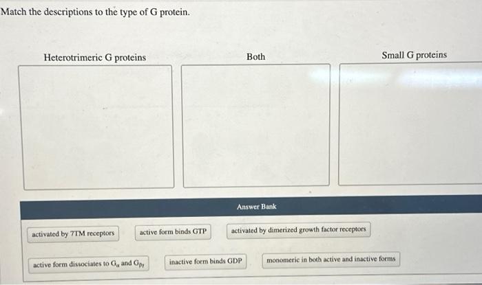 Solved Match the descriptions to the type of G protein. | Chegg.com
