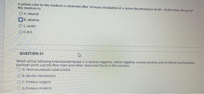 Solved Ayellow color to the medium is observed after 24 | Chegg.com