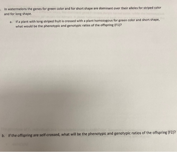 Solved In watermelons the genes for green color and for