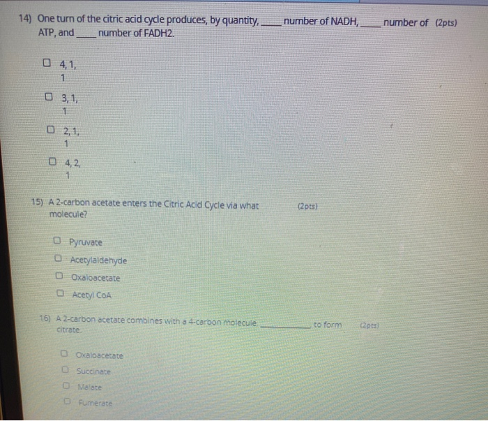 Solved 14) One Turn Of The Citric Acid Cycle Produces, By | Chegg.com