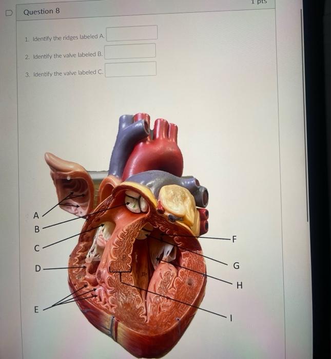 student submitted image, transcription available below