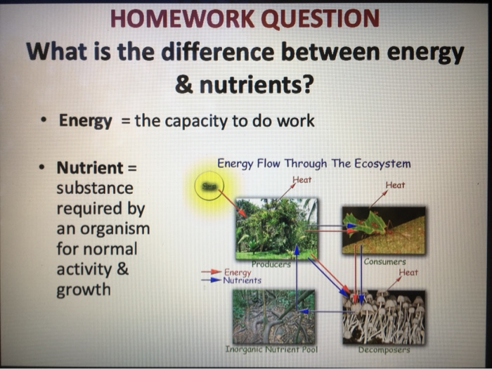 Solved HOMEWORK QUESTION What is the difference between | Chegg.com