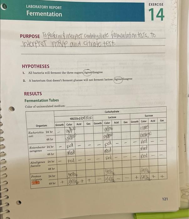 Solved 122 EXERCISE 14 FERMENTATION CONCLUSIONS 1. Do you