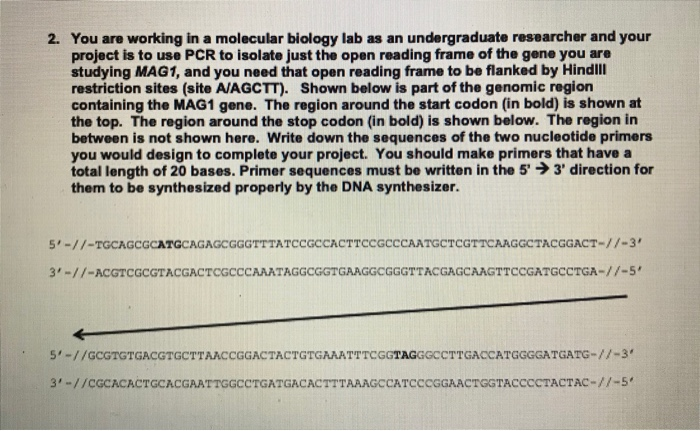 Solved 1. Below (left) is the restriction map of a plasmid | Chegg.com