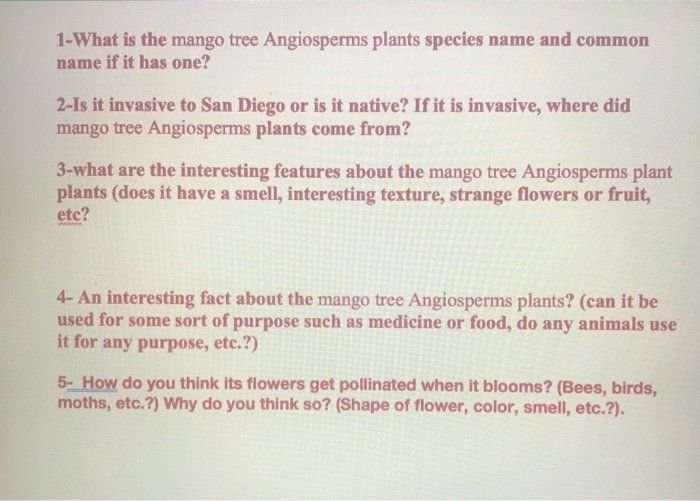 Solved 1-What is the mango tree Angiosperms plants species | Chegg.com