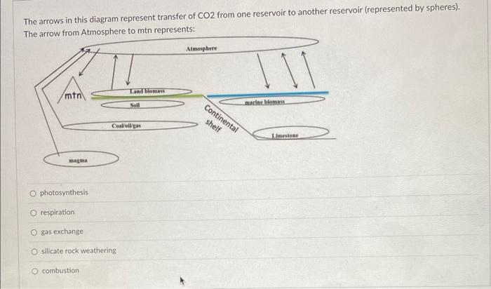 Solved The arrows in this diagram represent transfer of CO2 | Chegg.com
