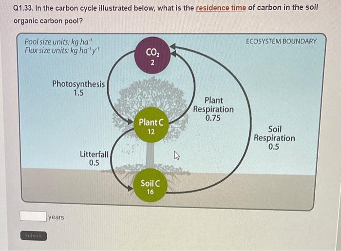 solved-q1-33-in-the-carbon-cycle-illustrated-below-what-is-chegg