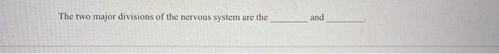 Solved The two major divisions of the nervous system are the | Chegg.com