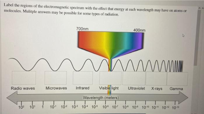 Solved Label the regions of the electromagnetic spectrum | Chegg.com