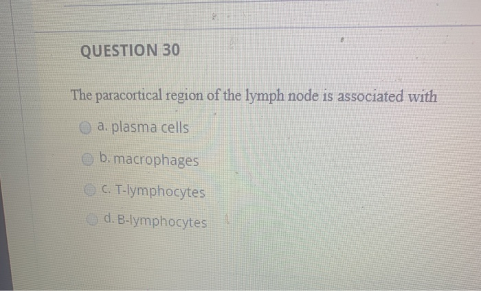 Solved QUESTION 30 The paracortical region of the lymph node | Chegg.com