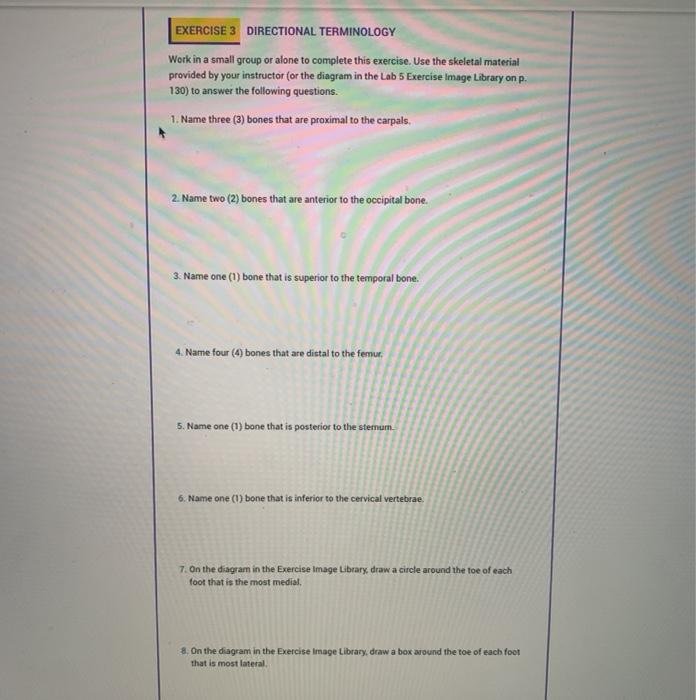 Solved EXERCISE 3 DIRECTIONAL TERMINOLOGY Work in a small