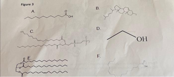 Solved Figure 3 | Chegg.com