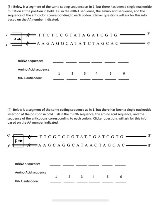 Solved (3) Below is a segment of the same coding sequence as | Chegg.com