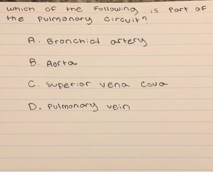 which of the following is part of the pulmonary circuit?
A. Bronchial artery
B. Aorta
C. Superior vena Cova
D. Pulmonary vein