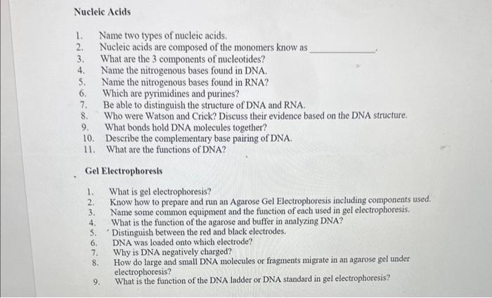 Solved Nucleic Acids 1. Name Two Types Of Nucleic Acids. 2. 