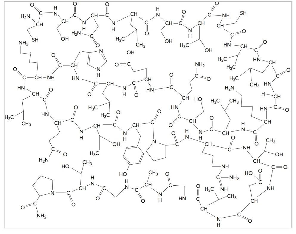 Solved H3C H₂N NH₂ HN CH3 О C CH SH CH-NH CH C HN H₂N NH₂ Н | Chegg.com