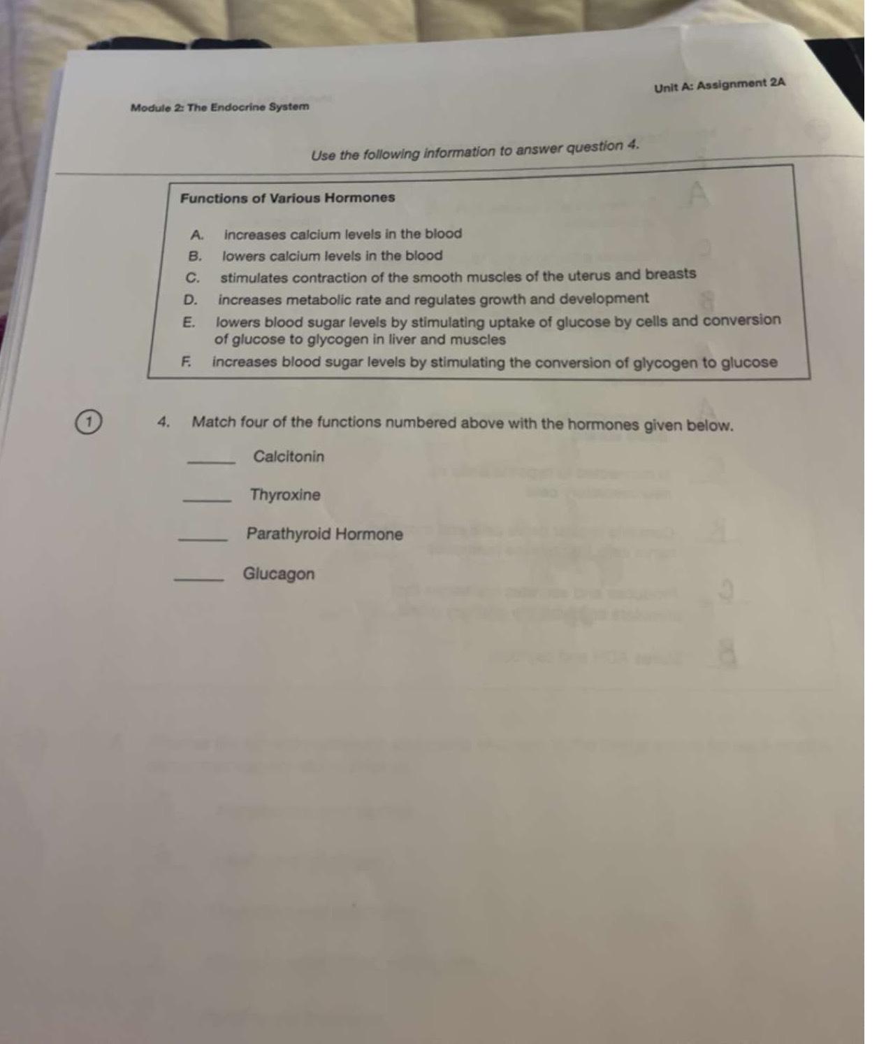 Solved Module 2: The Endocrine SystemUnit A: Assignment | Chegg.com