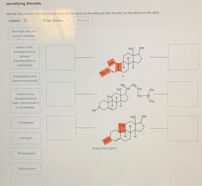 student submitted image, transcription available below