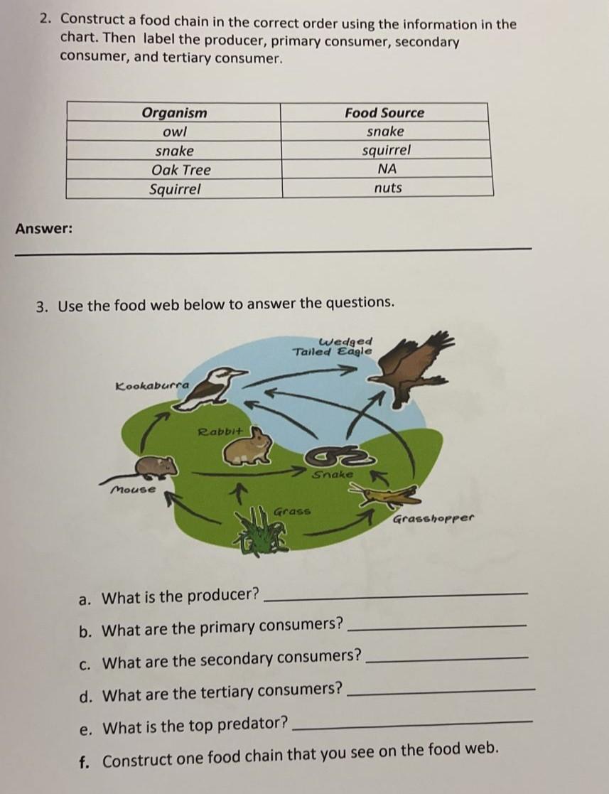 Solved 3. Complete the diagram: Cellular Respiration occurs | Chegg.com, image size:857x1117