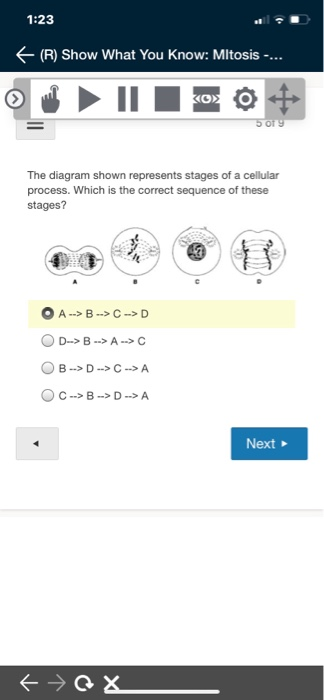 Solved 1 08 F R Show What You Know Mltosis D D Chegg Com