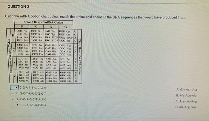 Solved QUESTION 2 Using the mRNA codon chart below, match | Chegg.com