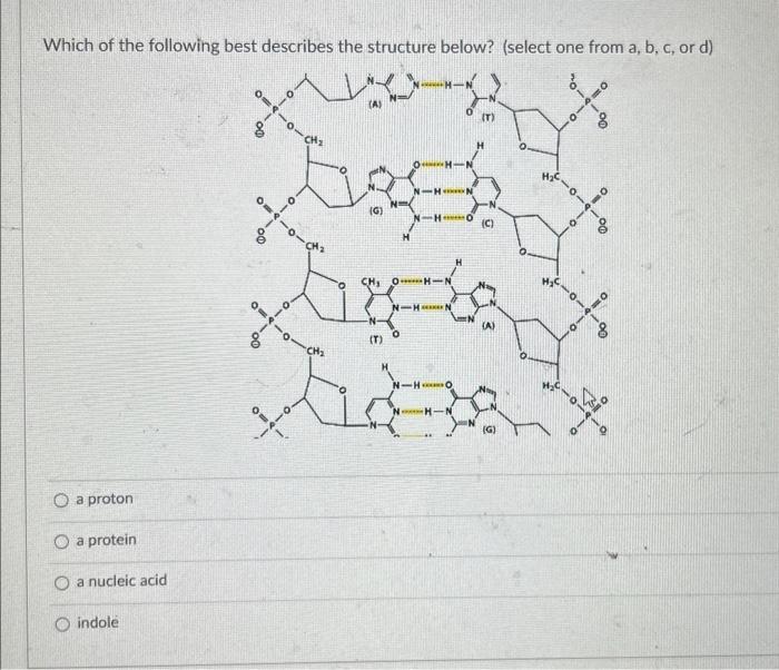 Solved Which of the following is a generic representation of | Chegg.com