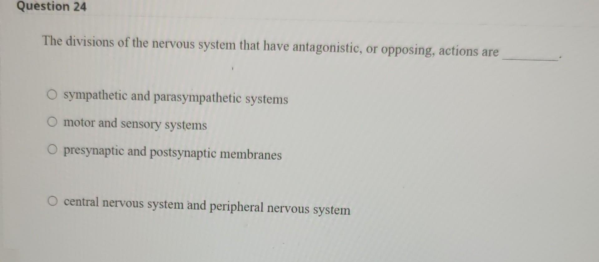 Solved Question 24 The divisions of the nervous system that | Chegg.com