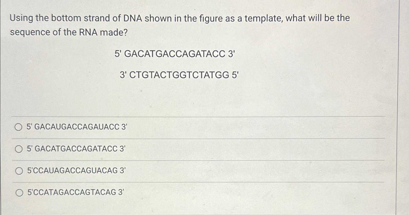 Solved Using the bottom strand of DNA shown in the figure as | Chegg.com