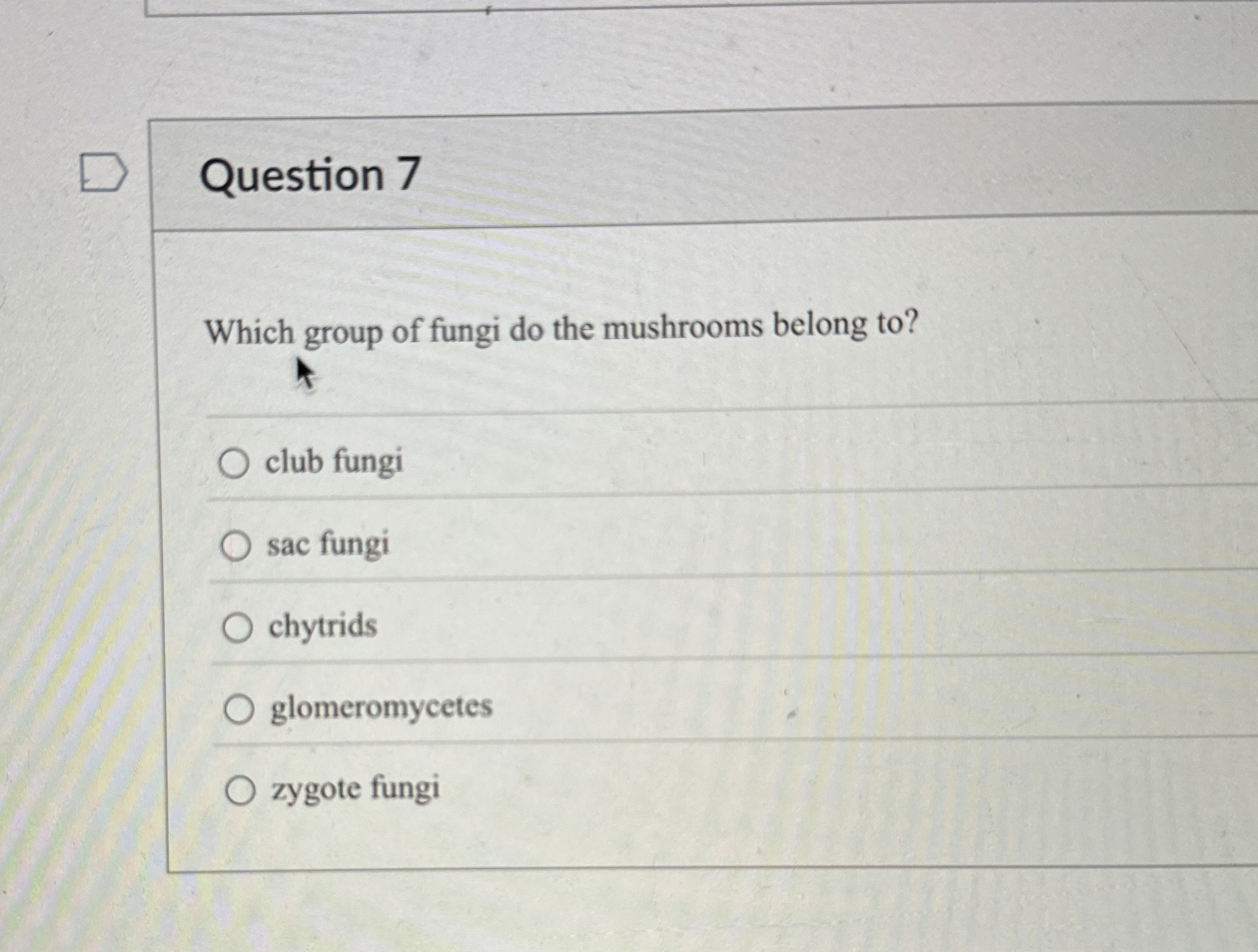Solved Question 7Which group of fungi do the mushrooms | Chegg.com