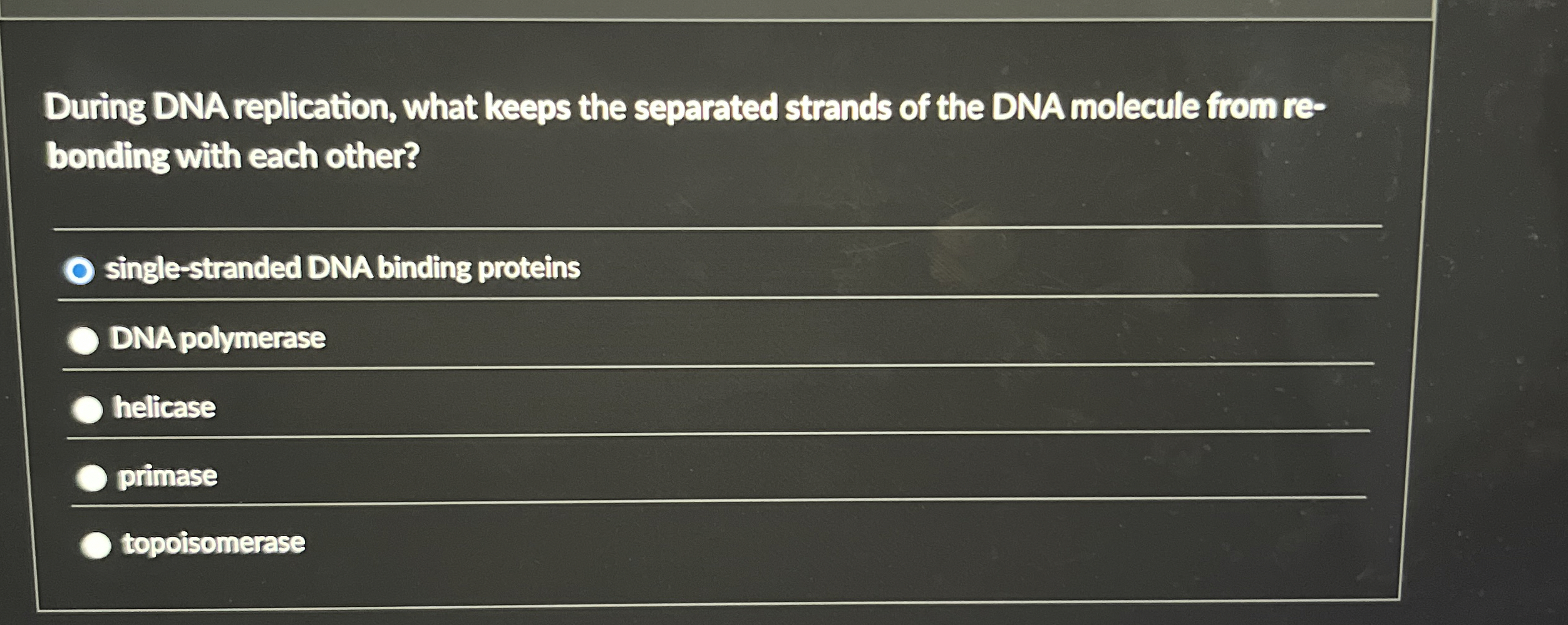 Solved During DNA replication, what keeps the separated