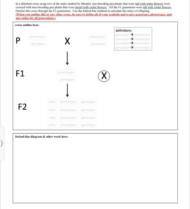 Solved Can Someone Help Me Answer These Questions In A D 6742