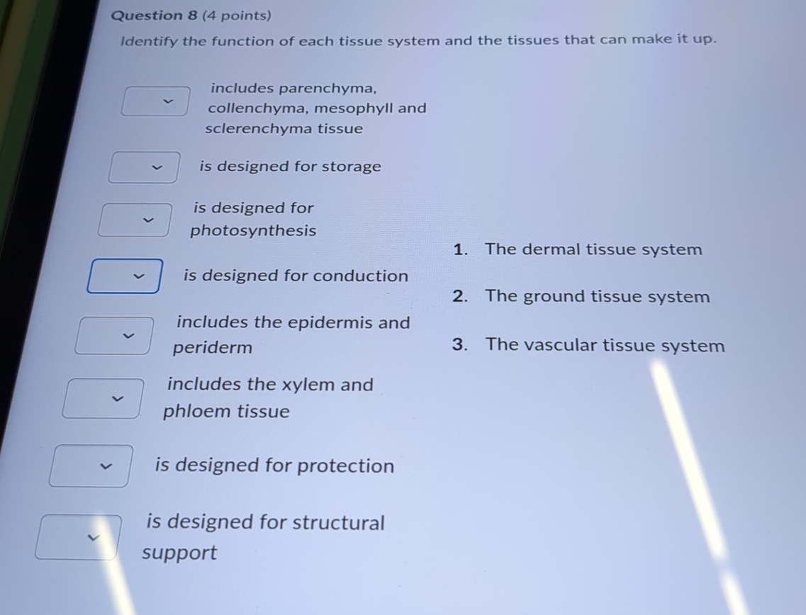 Solved Question 8 (4 ﻿points)Identify the function of each | Chegg.com