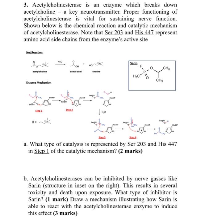 Solved 3. Acetylcholinesterase is an enzyme which breaks