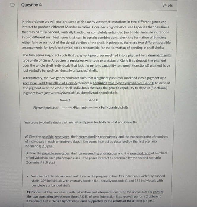 Solved D Question 4 34 pts In this problem we will explore | Chegg.com
