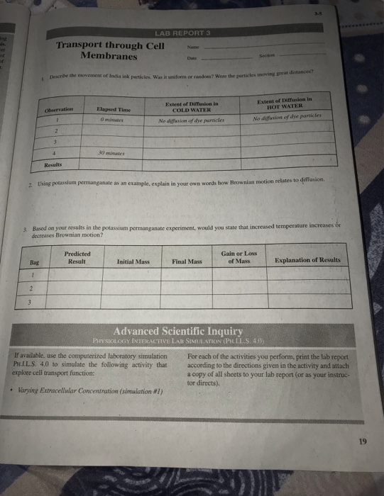 LAB REPORT 3 Transport through Cell Membranes