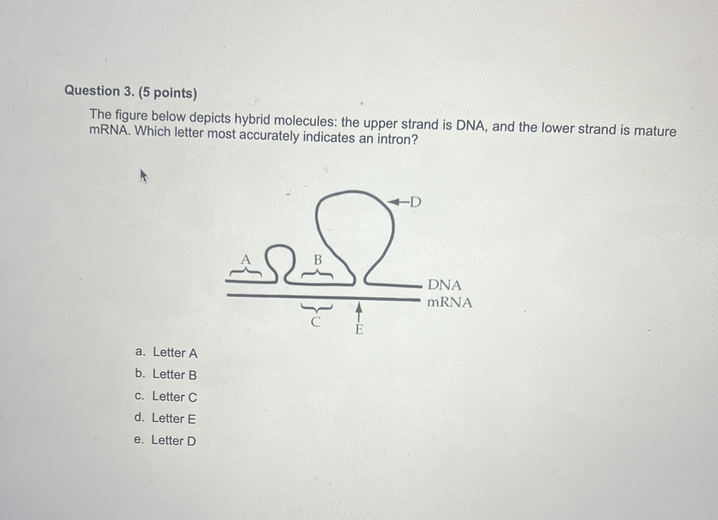 Solved Question Points The Figure Below Depicts Chegg Com