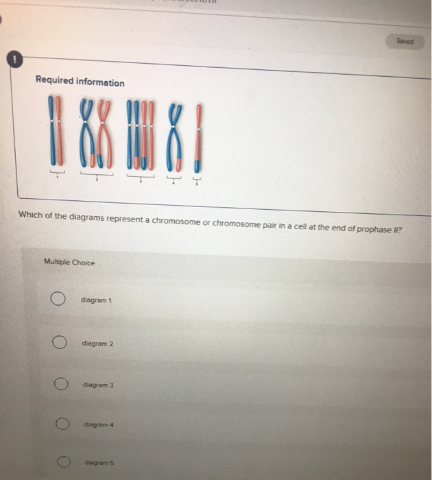 Solved Saved Required information Which of the diagrams | Chegg.com