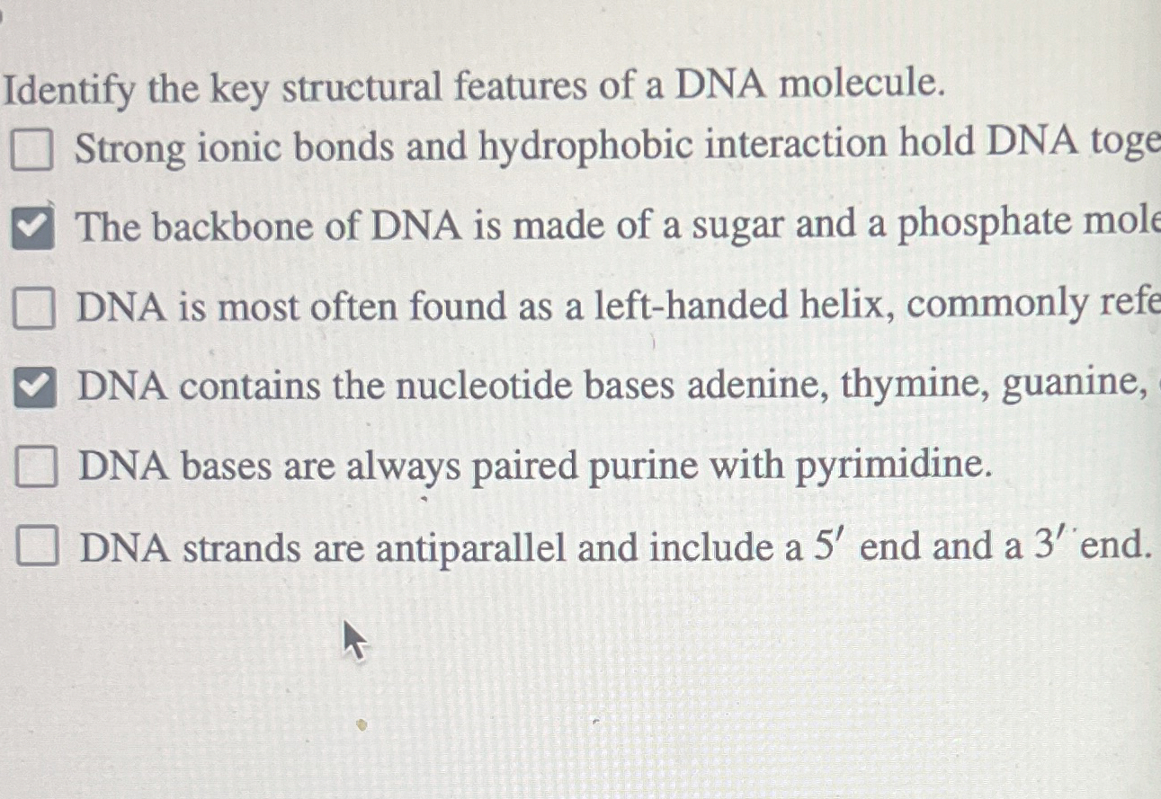 Solved Identify the key structural features of a DNA | Chegg.com