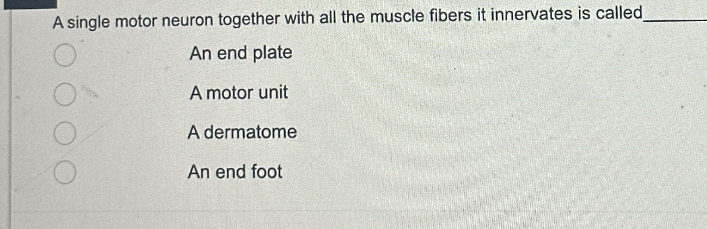Solved A single motor neuron together with all the muscle | Chegg.com