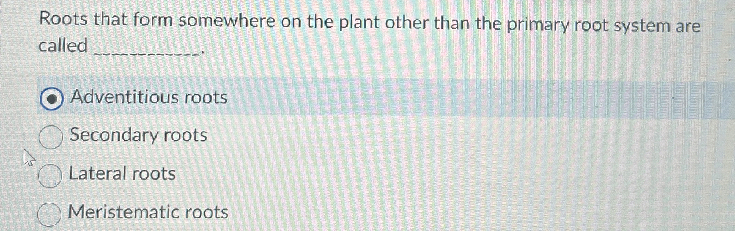 Solved Roots that form somewhere on the plant other than the | Chegg.com