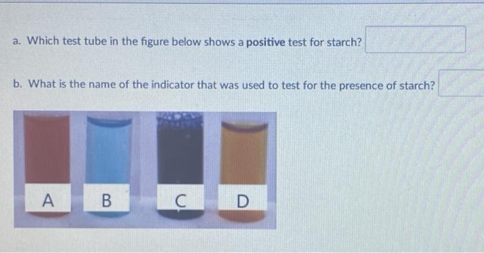 Solved A. Which Test Tube In The Figure Below Shows A | Chegg.com