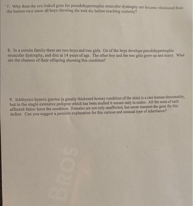 Solved Dominance and Codominance Worksheet Name