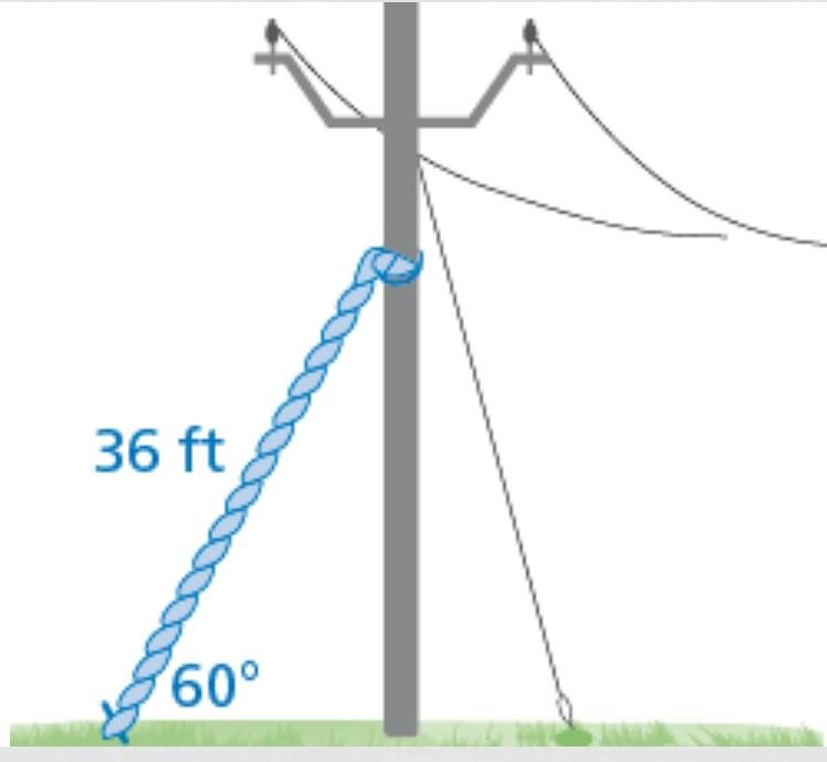 Solved A 36-foot guy wire is attached to a utility pole to | Chegg.com