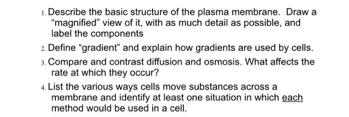 Solved 1. Describe the basic structure of the plasma | Chegg.com