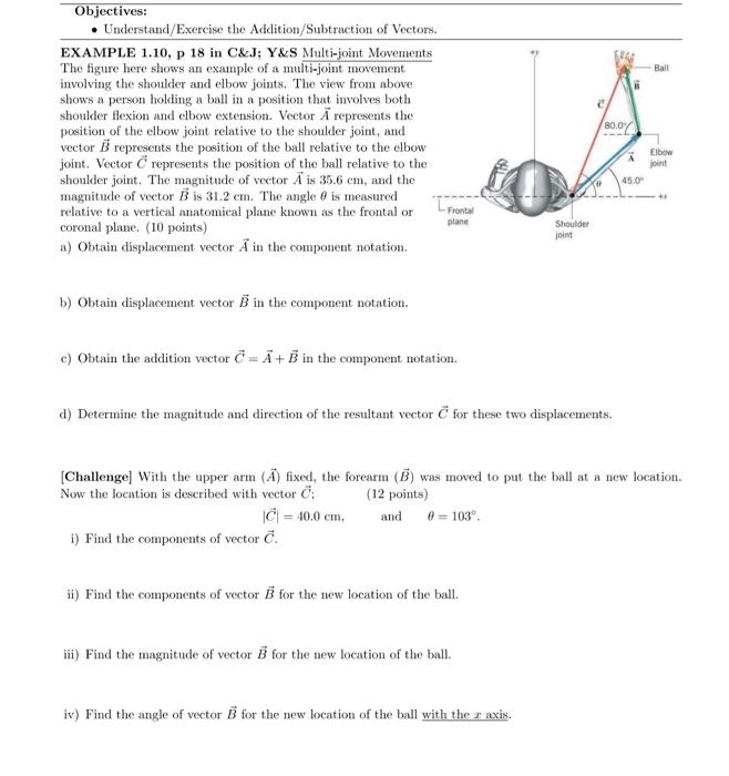 Solved Ball Objectives: Understand/Exercise the | Chegg.com