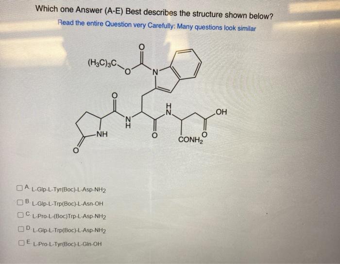 Solved Which One Answer A E Best Describes The Structur Chegg Com