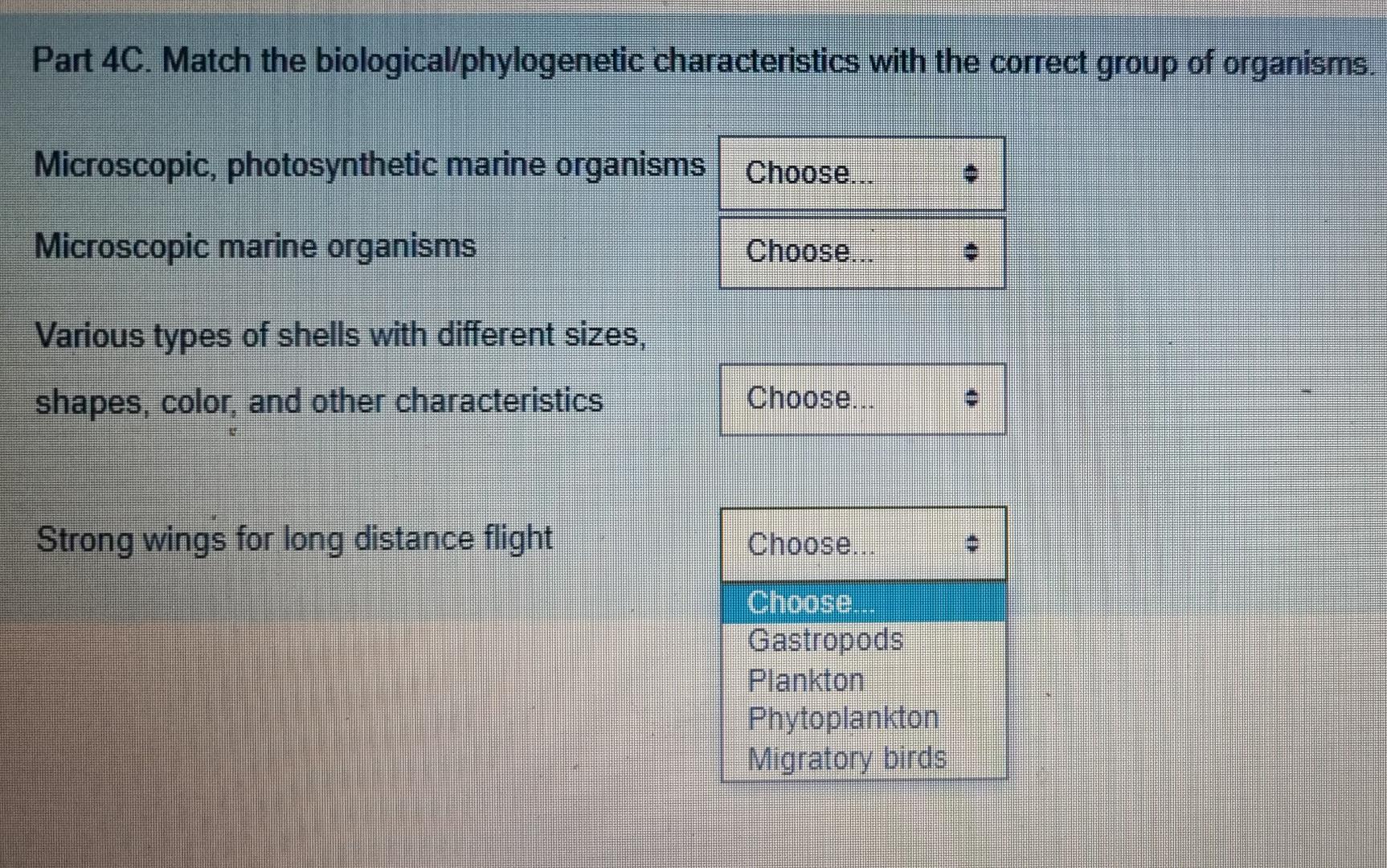 Solved Part 4C. Match The Biological/phylogenetic | Chegg.com