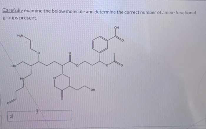 Solved Carefully Examine The Below Molecule And Determine | Chegg.com