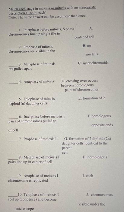 Solved Match each stage in meiosis or mitosis with an | Chegg.com