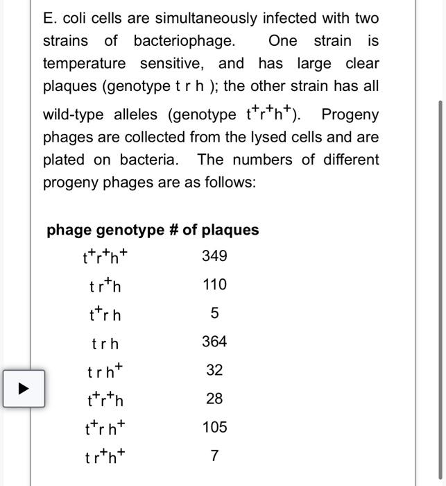 Solved E. coli cells are simultaneously infected with two | Chegg.com
